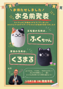 お名前が決定しました!の外観